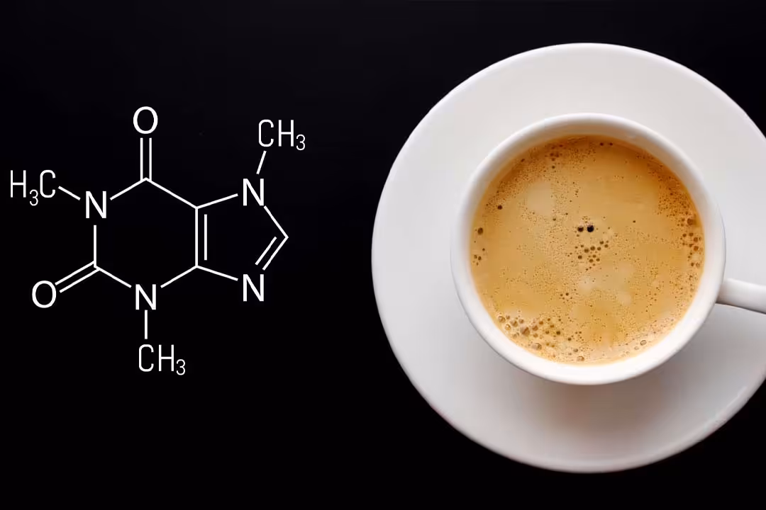 کافئین با بدن شما چه میکند؟