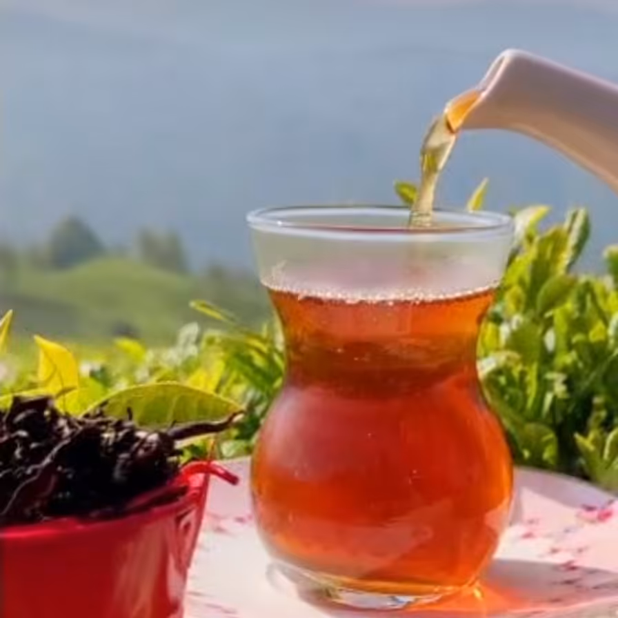 قلم ممتاز بهاره املش 1402 