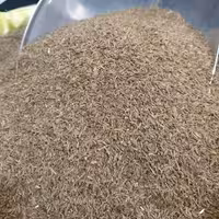 زیره سیاه 100 گرم 