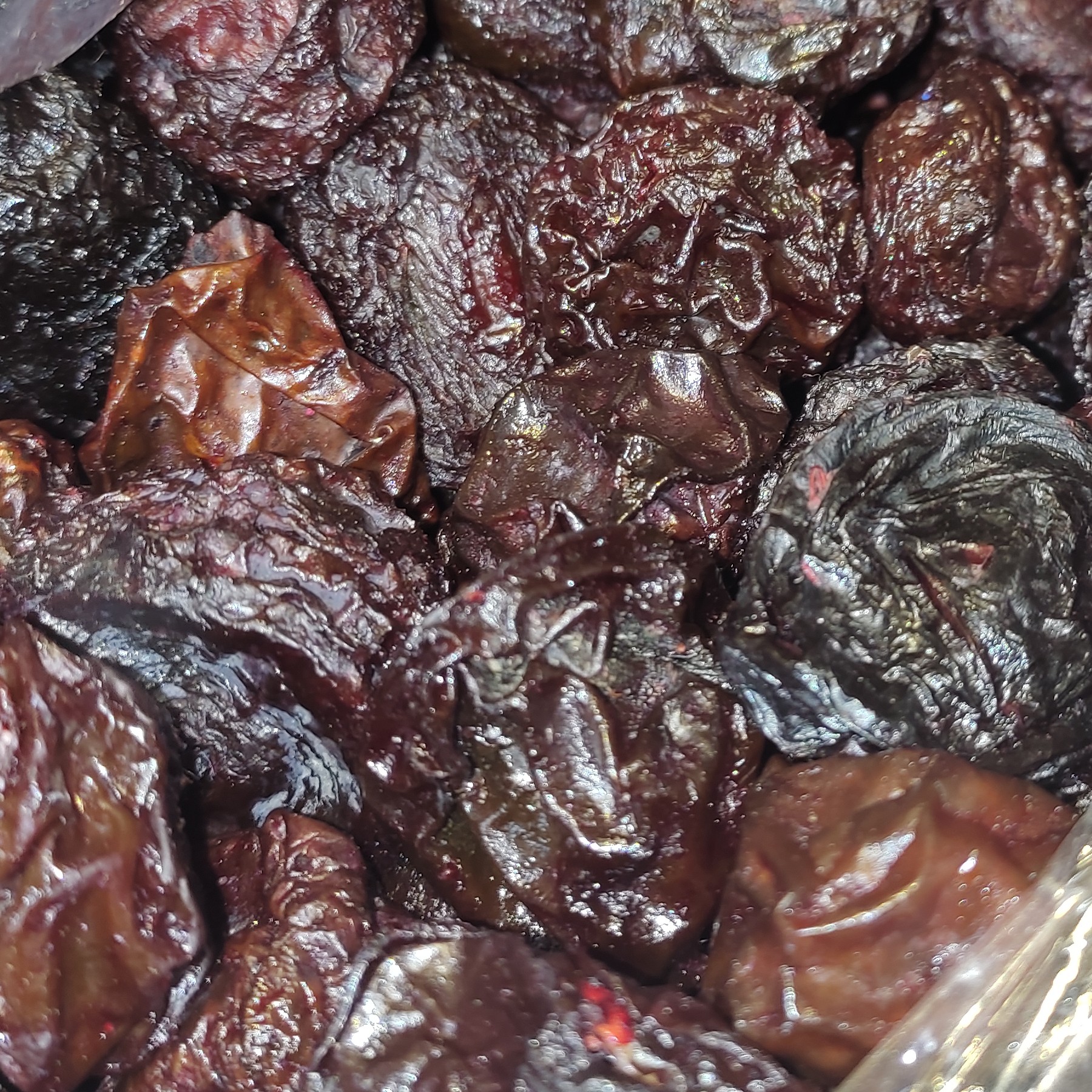 گوجه برقان آفتابی