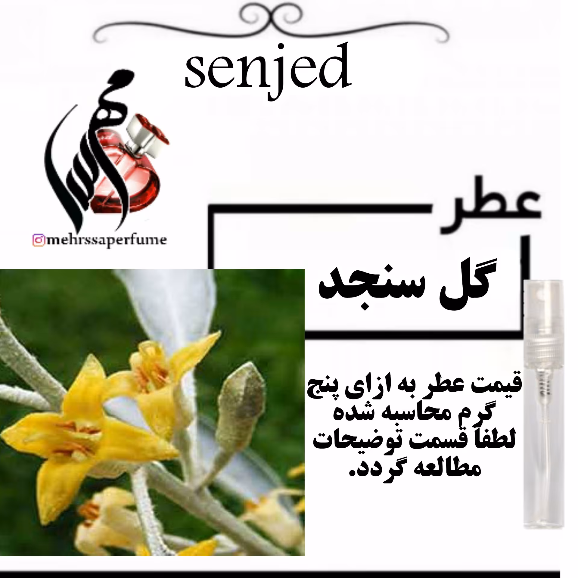 عطر گل سنجد مردانه و زنانه senjed حجم 5 میل 