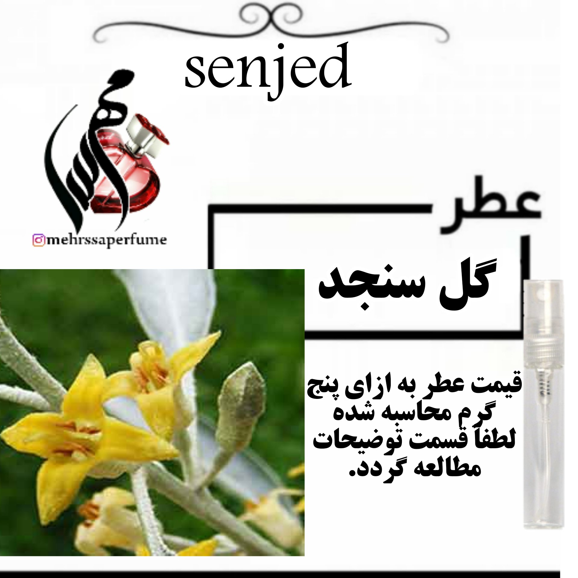 عطر گل سنجد مردانه و زنانه senjed حجم 5 میل
