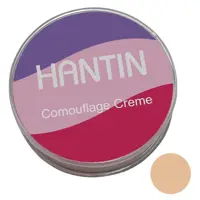 کانسیلر کاموفولاژ هانتین شماره H08