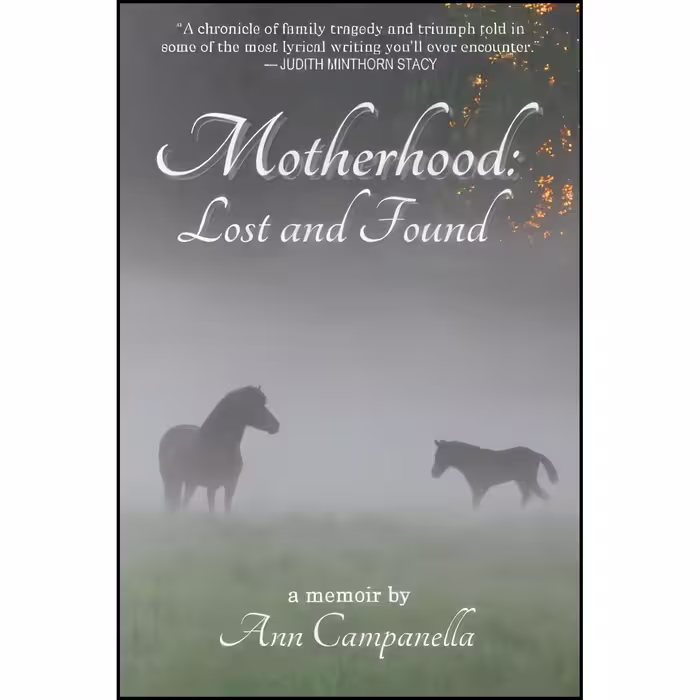 کتاب زبان اصلی Motherhood اثر Ann Campanella