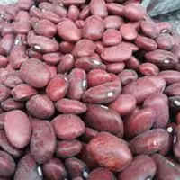 لوبیا قرمز  اعلاء دانه درشت درجه یک