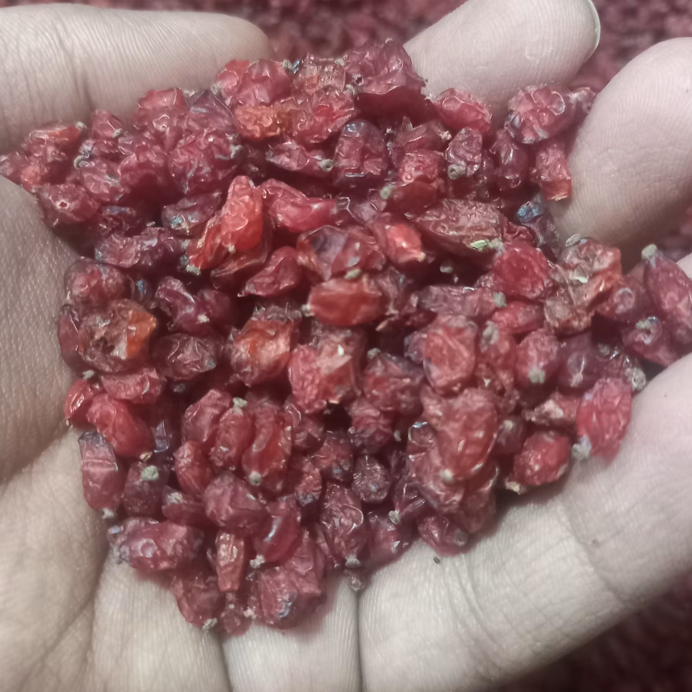 زرشک تضمینی بیرجند (یک کیلویی)