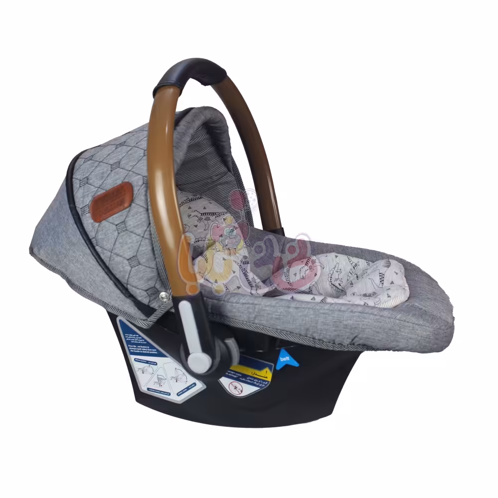 کریر دلیجان مدل بنیتاپلاس طرح hiro 3