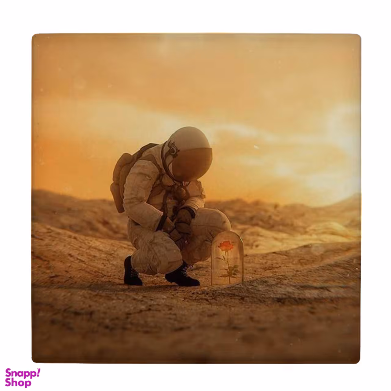 زیر لیوانی طرح فضانورد و گل رز کد 4018470_2400