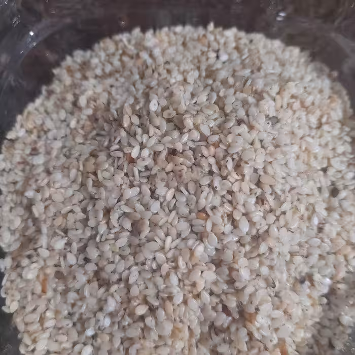 کنجد خام ایرانی پوست کنده(نیم کیلویی)