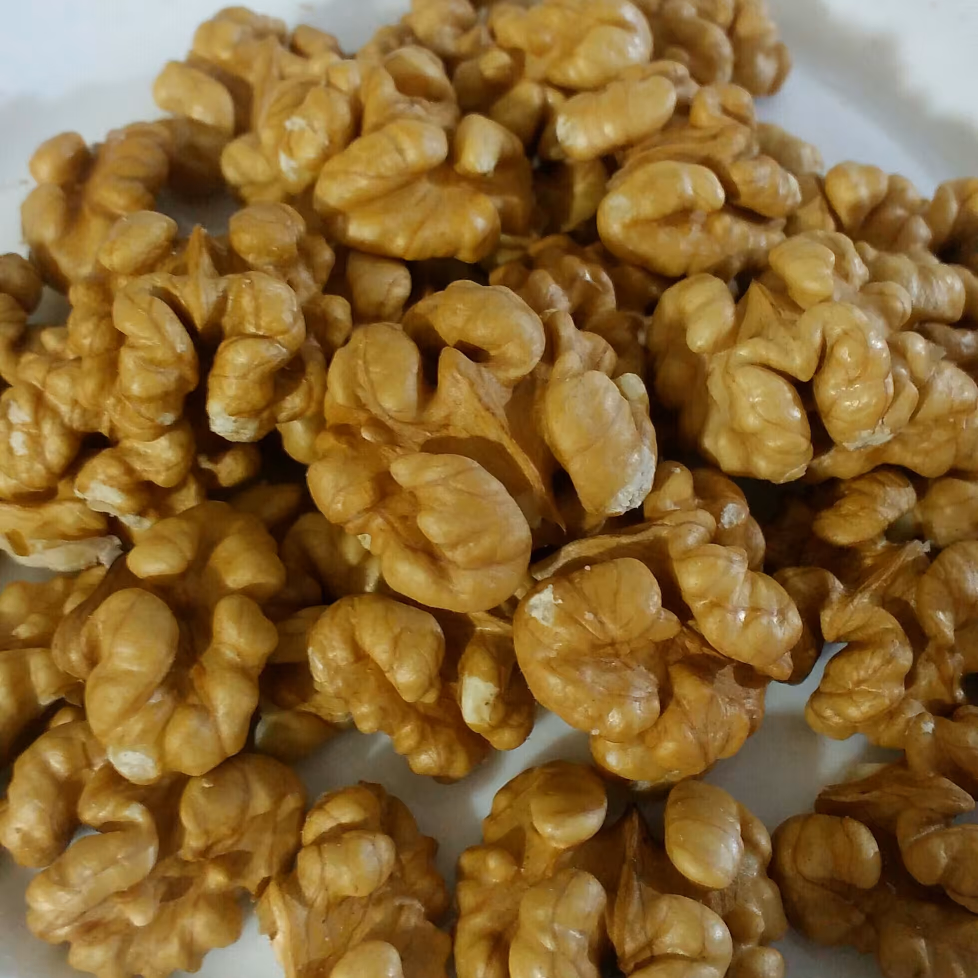 مغز گردو درجه یک الموت 750 گرمی