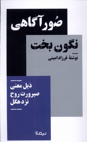 کتاب صور آگاهی نگون بخت اثر فرزاد امینی