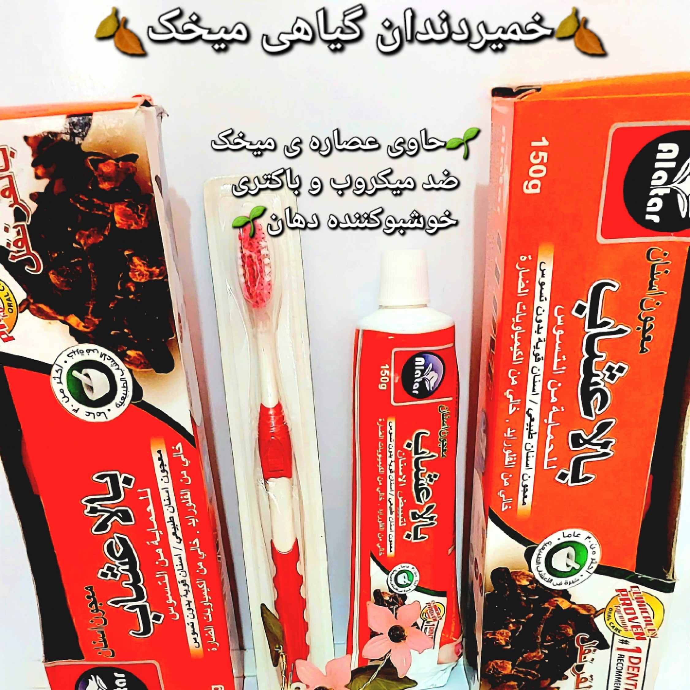 خمیردندان گیاهی خارجی