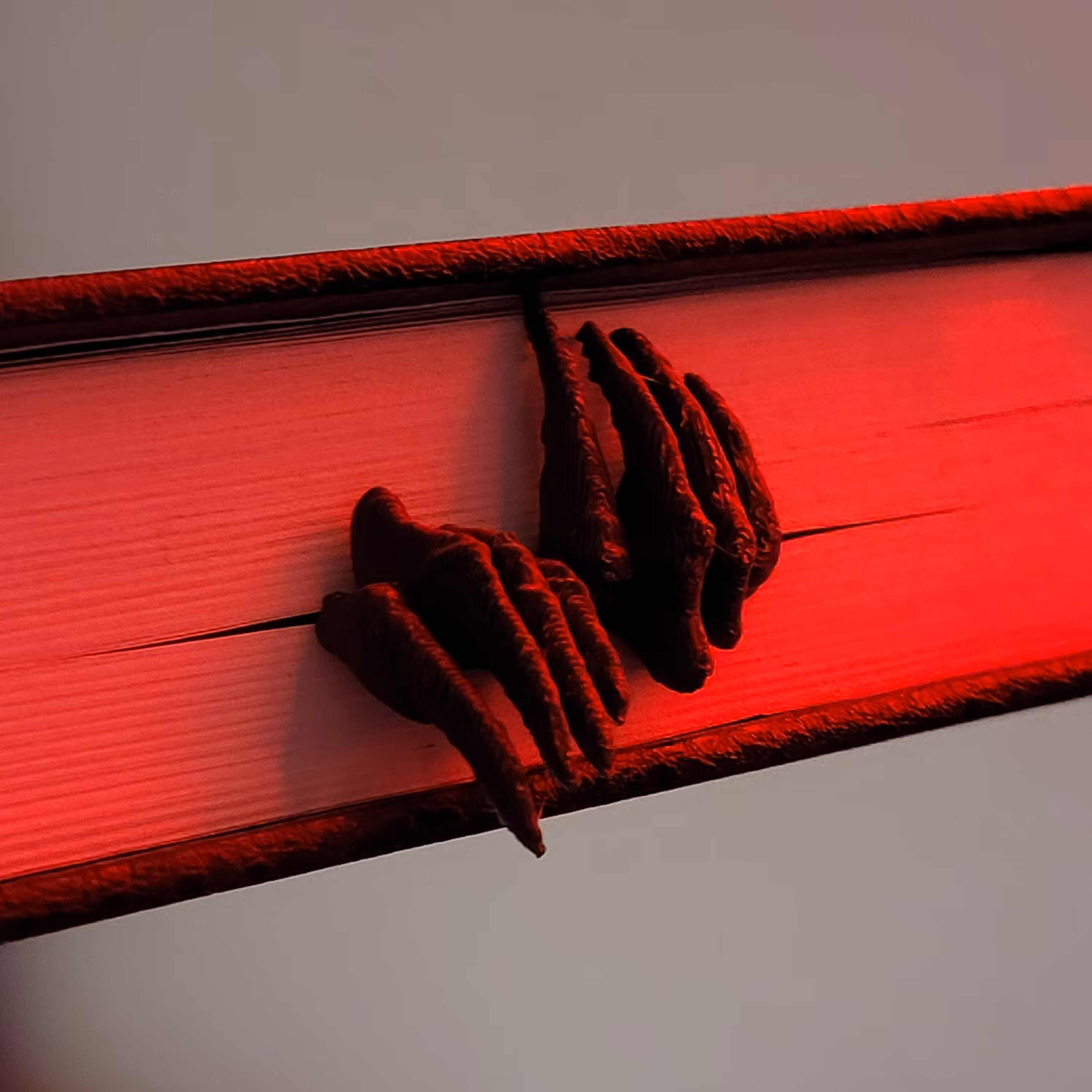 نشانگر کتاب بوک مارک طرح دست جادوگر رنگ مشکی و طول 11 سانتی متر