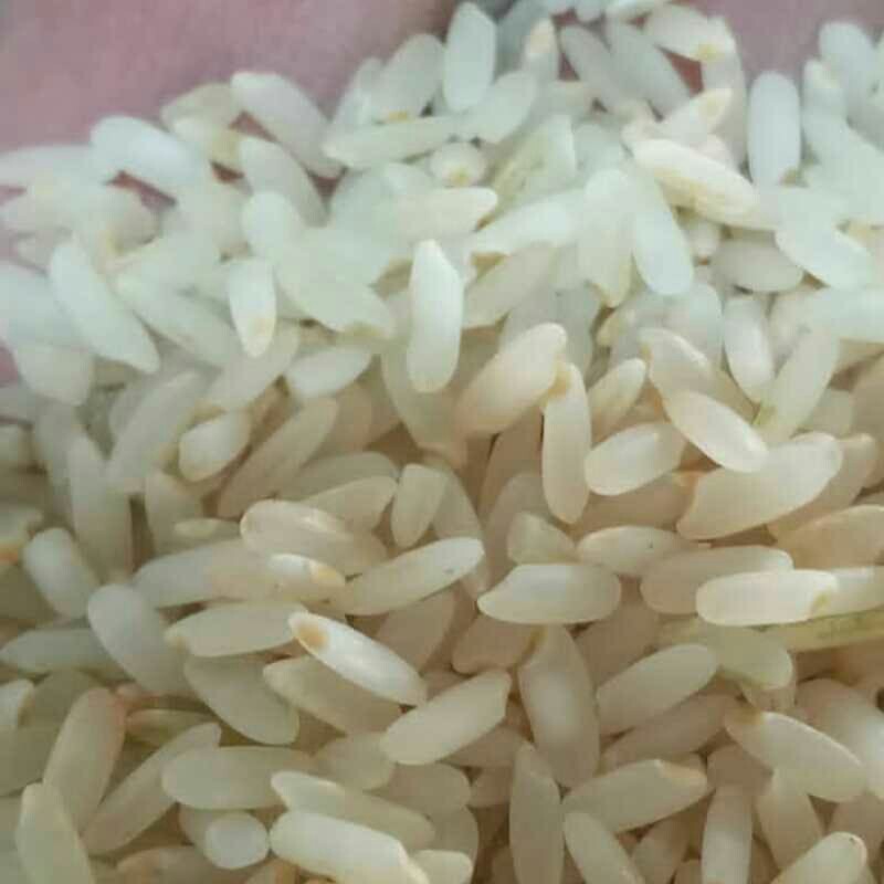 برنج محلی کامفیروزی درجه یک صد در صد خالص و مرغوب بسته بندی 1 کیلویی ( نمونه تست برنج) 