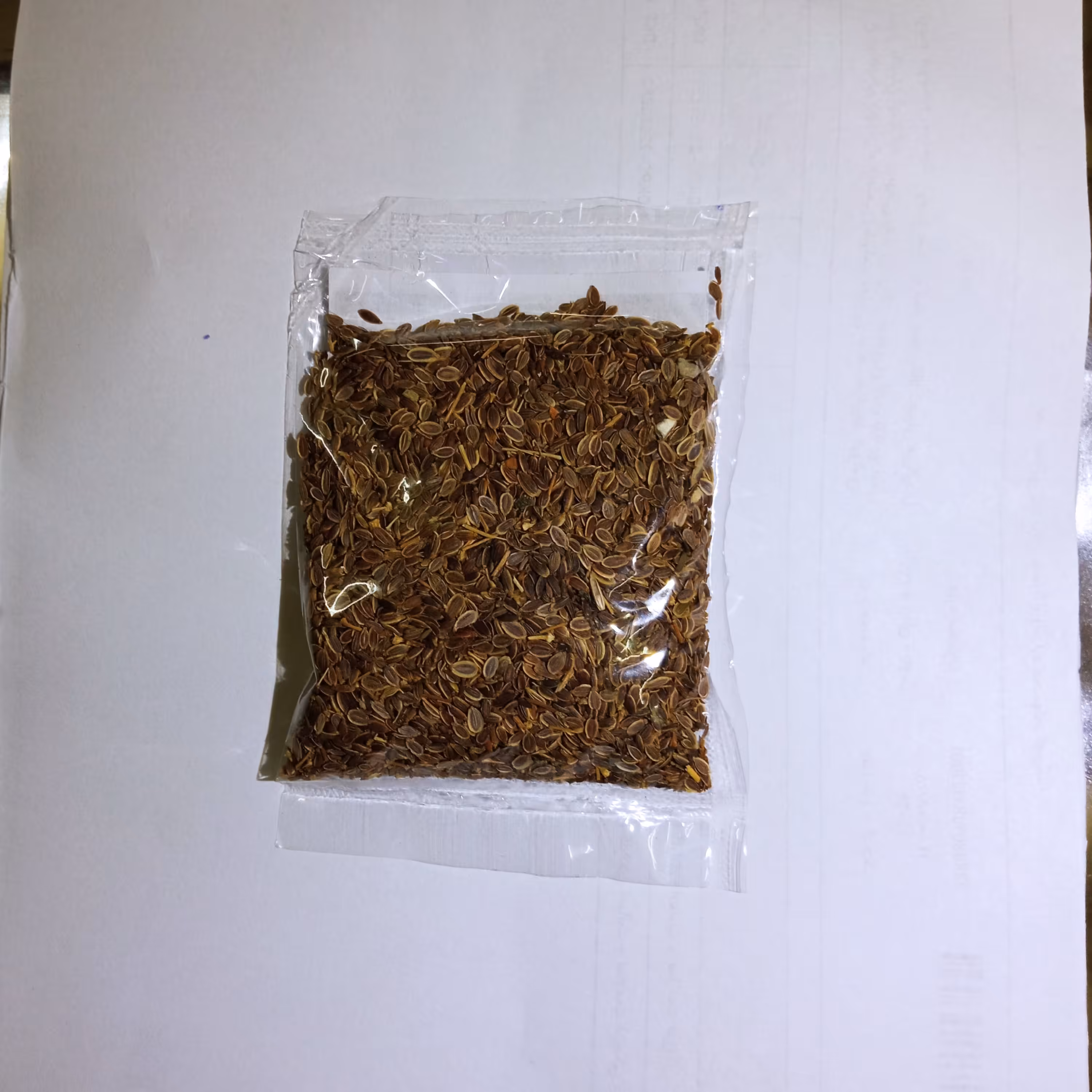 بذر شوید اعلاء بسته 10 گرمی