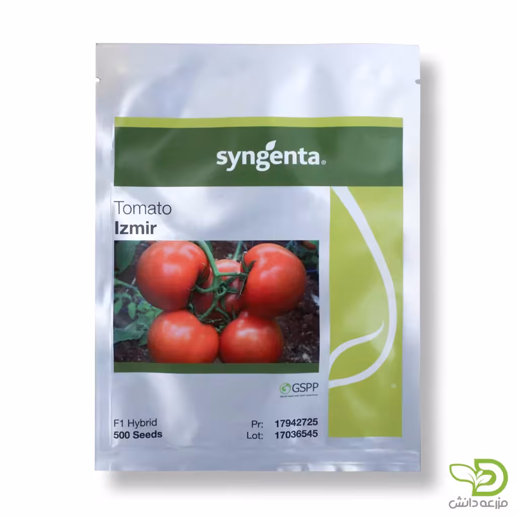 بذر گوجه گلخانه ای ازمیر سینجنتا