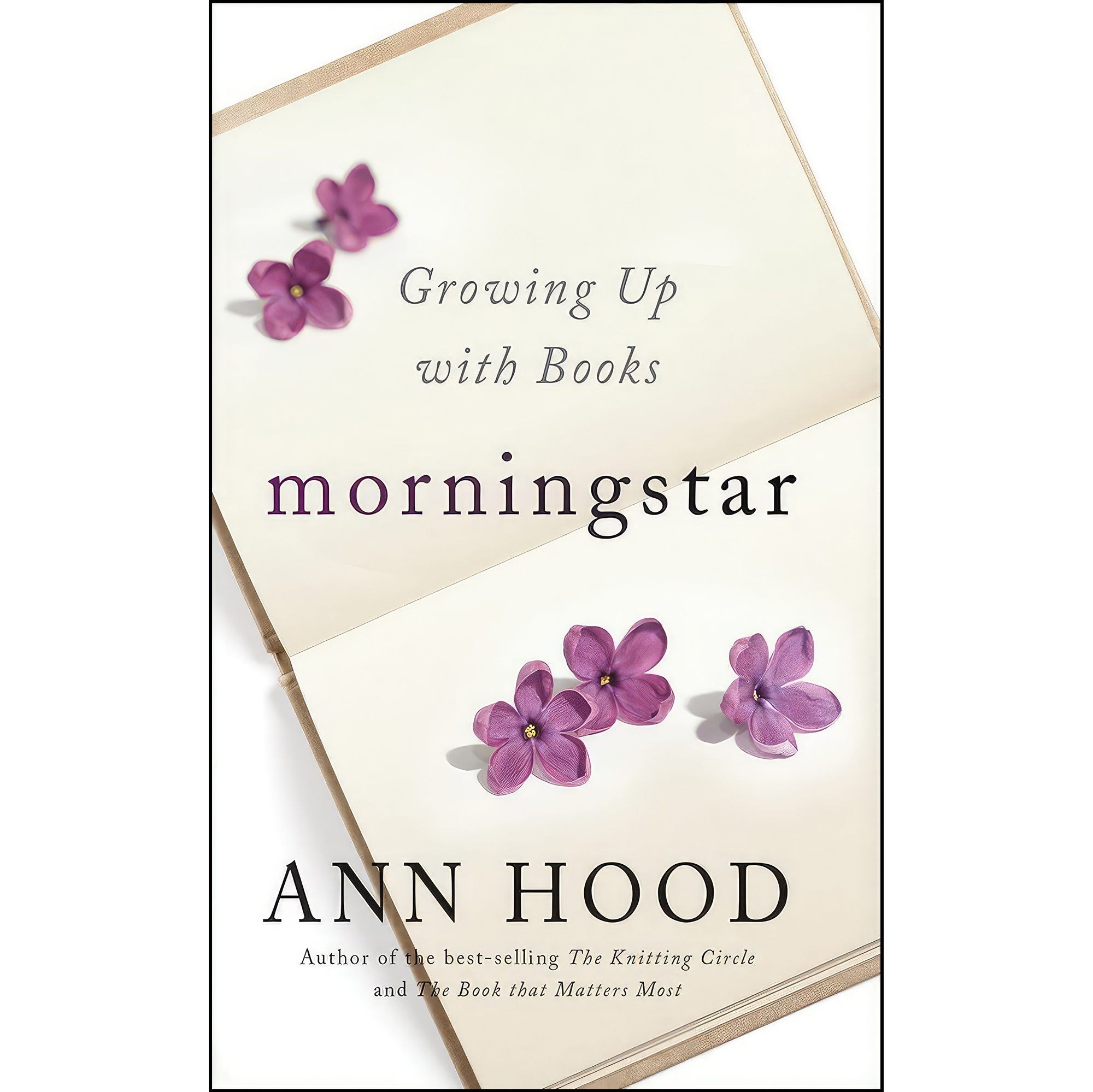 کتاب زبان اصلی Morningstar اثر Ann Hood انتشارات W W Norton Company
