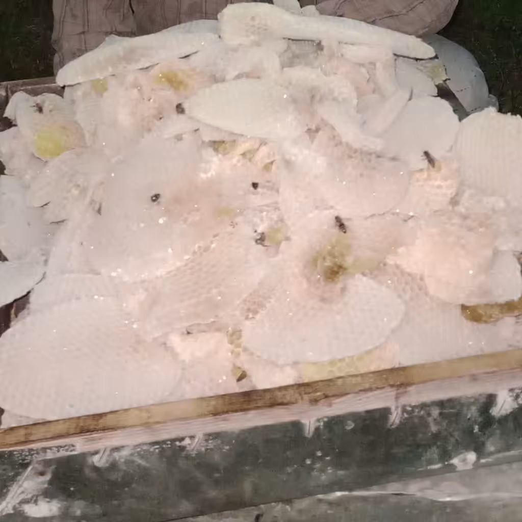 خروسک یا همان موم هرزبافته زنبور عسل.   صددرصد طبیعی  