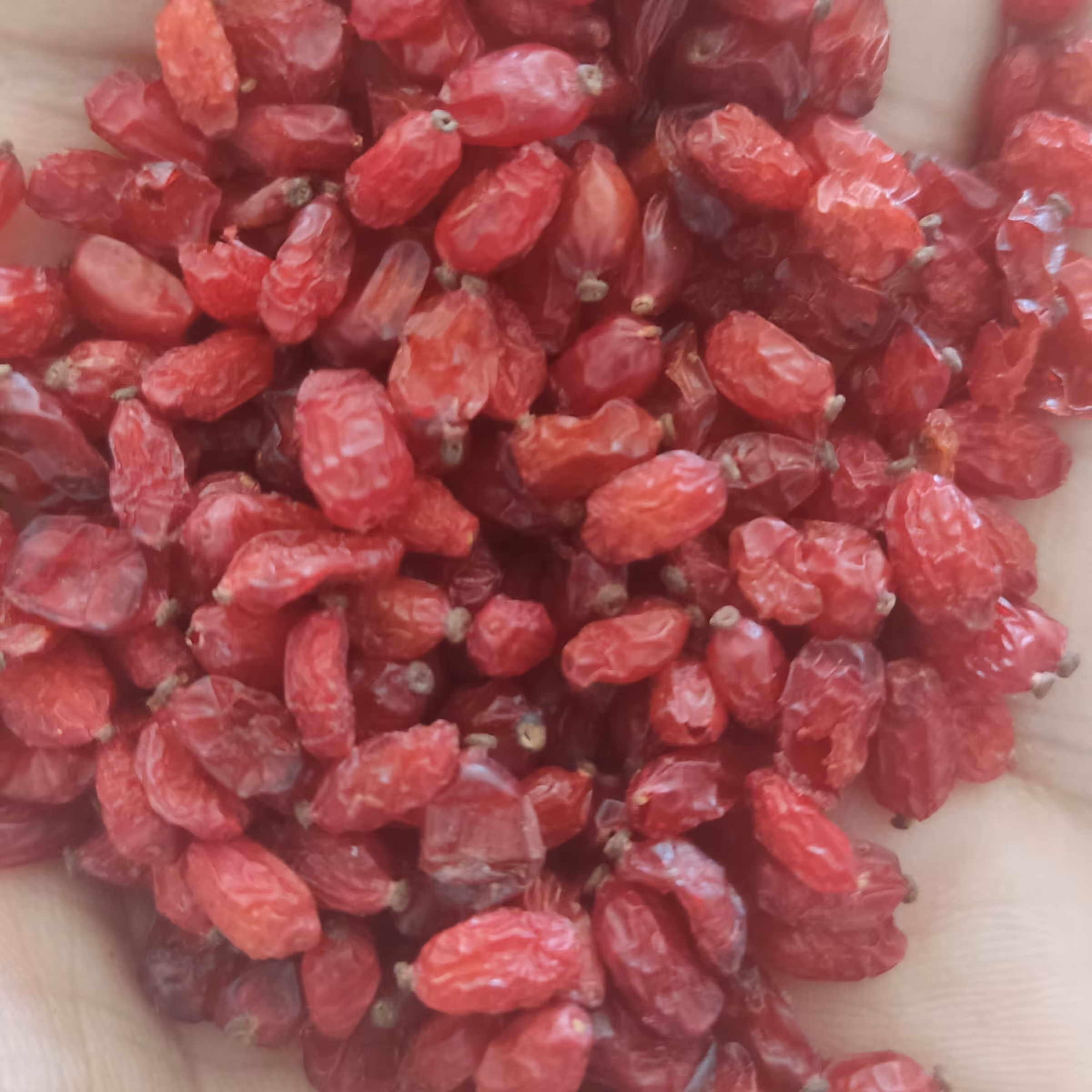 زرشک پفکی درجه یک