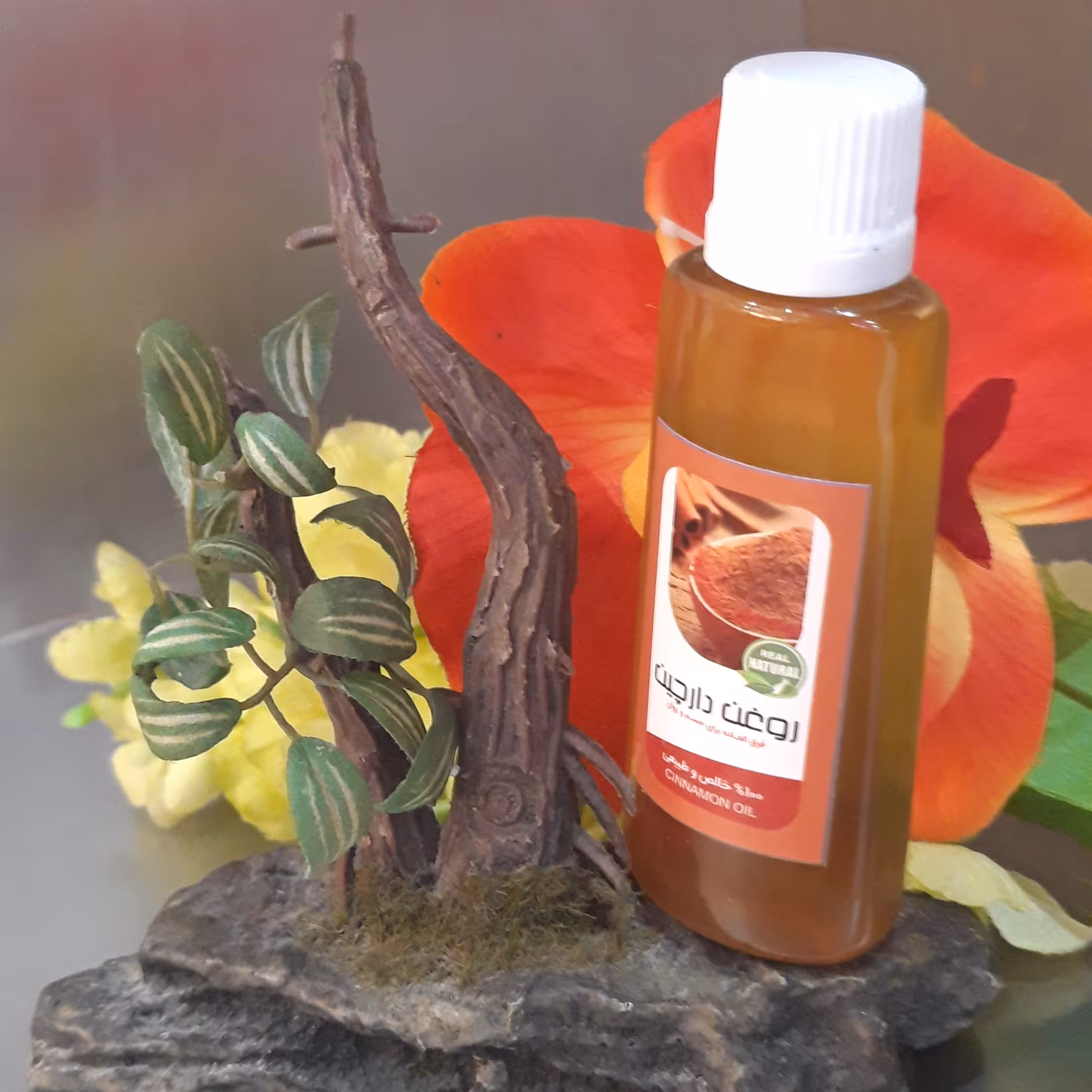 روغن دارچین 5ستاره فدک (لاغر_کننده، کلسترول)