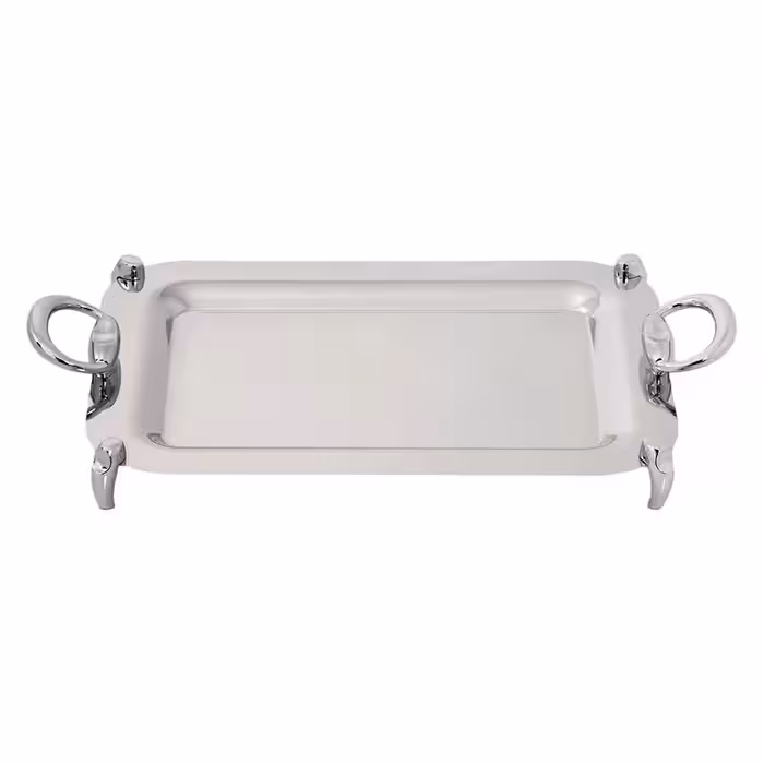 سینی مستطیل متوسط تک استیل مدل الفی (استیل)