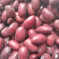 لوبیا قرمز محلی