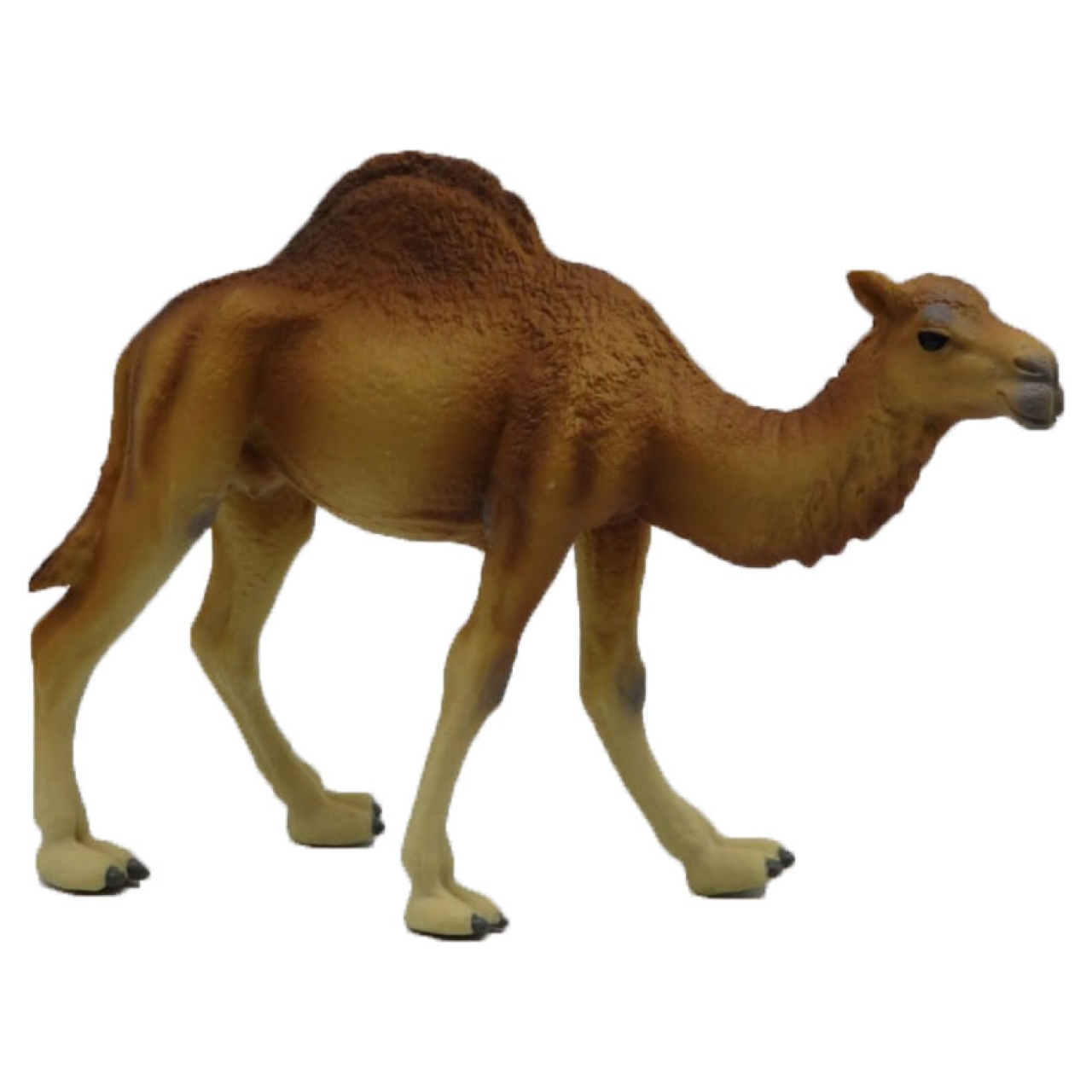 فیگور مدل شتر کد 1