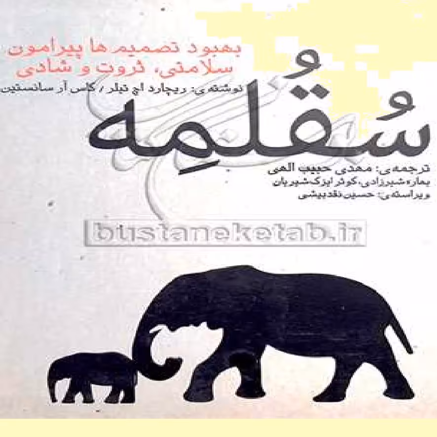 کتاب سقلمه بهبود تصمیم ها پیرامون سلامتی،ثروت و شادی ترجمه مهدی حبیب الهی