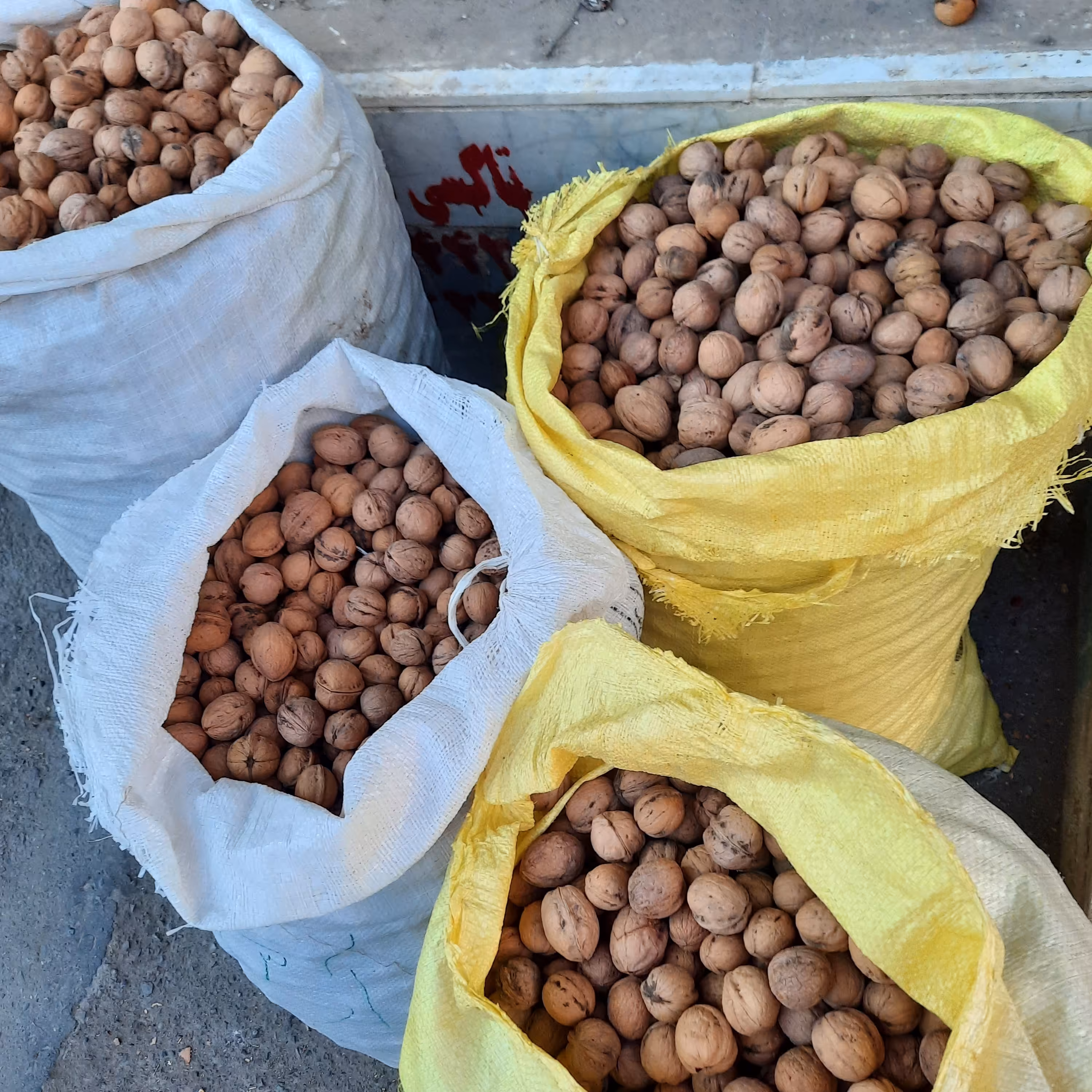 گردو اسداباد. تازه و ارگانیک به صورت کلی و جزئی