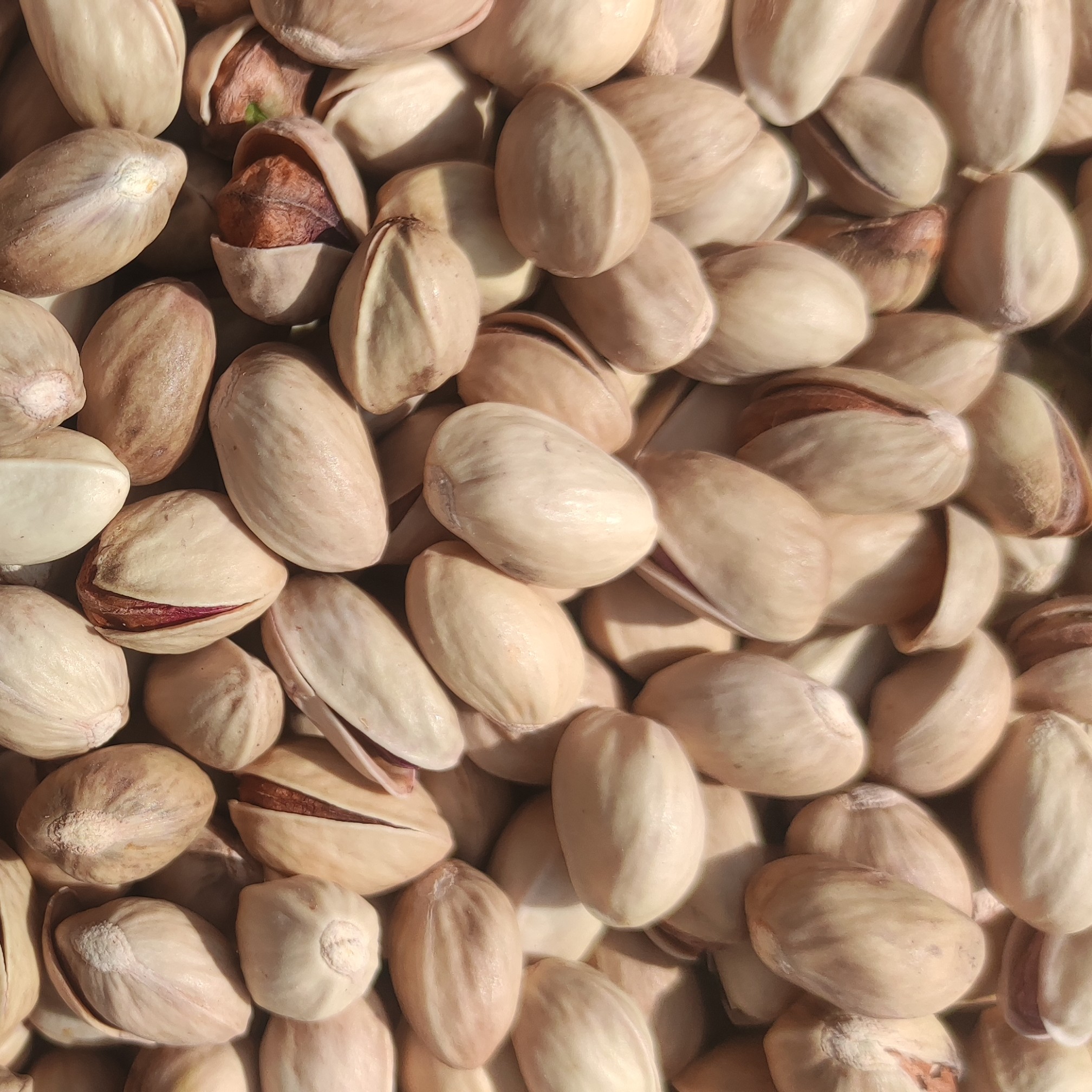 پسته آجیلی ( یک کیلو)