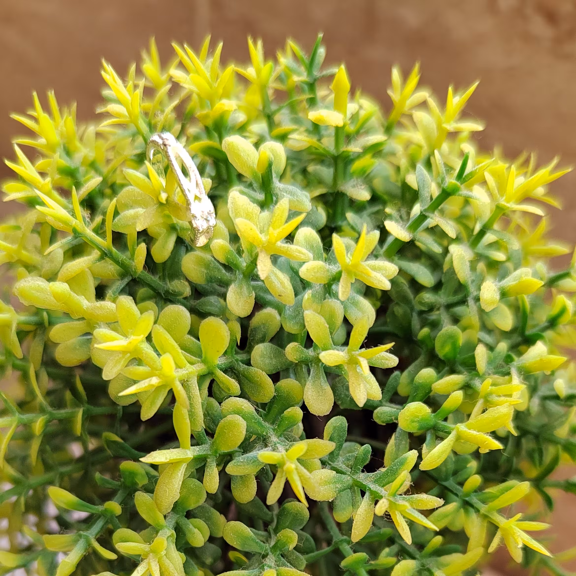 گوشواره تک نگینی فیک کلیپسی بدون سوراخ کردن گوش.   آبکاری شده. 