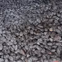 مویز مشکی بدون هسته و درشت