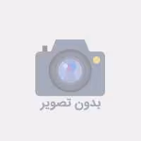 رژ گونه این لی مدل Shiny Copper 08