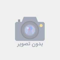 رژ گونه این لی مدل Shiny Copper 08