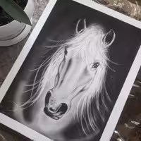 نقاشی سیاه قلم ،چهره رخ اسب ،سایز 35 در 50 ،بسیار زیبا ،دلنشین ،مناسب هدیه ،دکوراسیون منزل