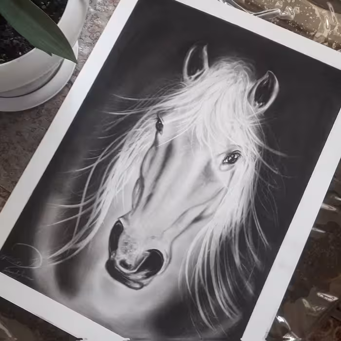 نقاشی سیاه قلم ،چهره رخ اسب ،سایز 35 در 50 ،بسیار زیبا ،دلنشین ،مناسب هدیه ،دکوراسیون منزل
