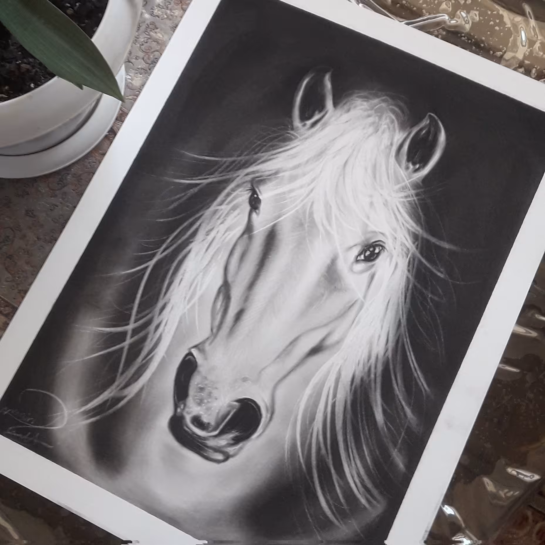 نقاشی سیاه قلم ،چهره رخ اسب ،سایز 35 در 50 ،بسیار زیبا ،دلنشین ،مناسب هدیه ،دکوراسیون منزل
