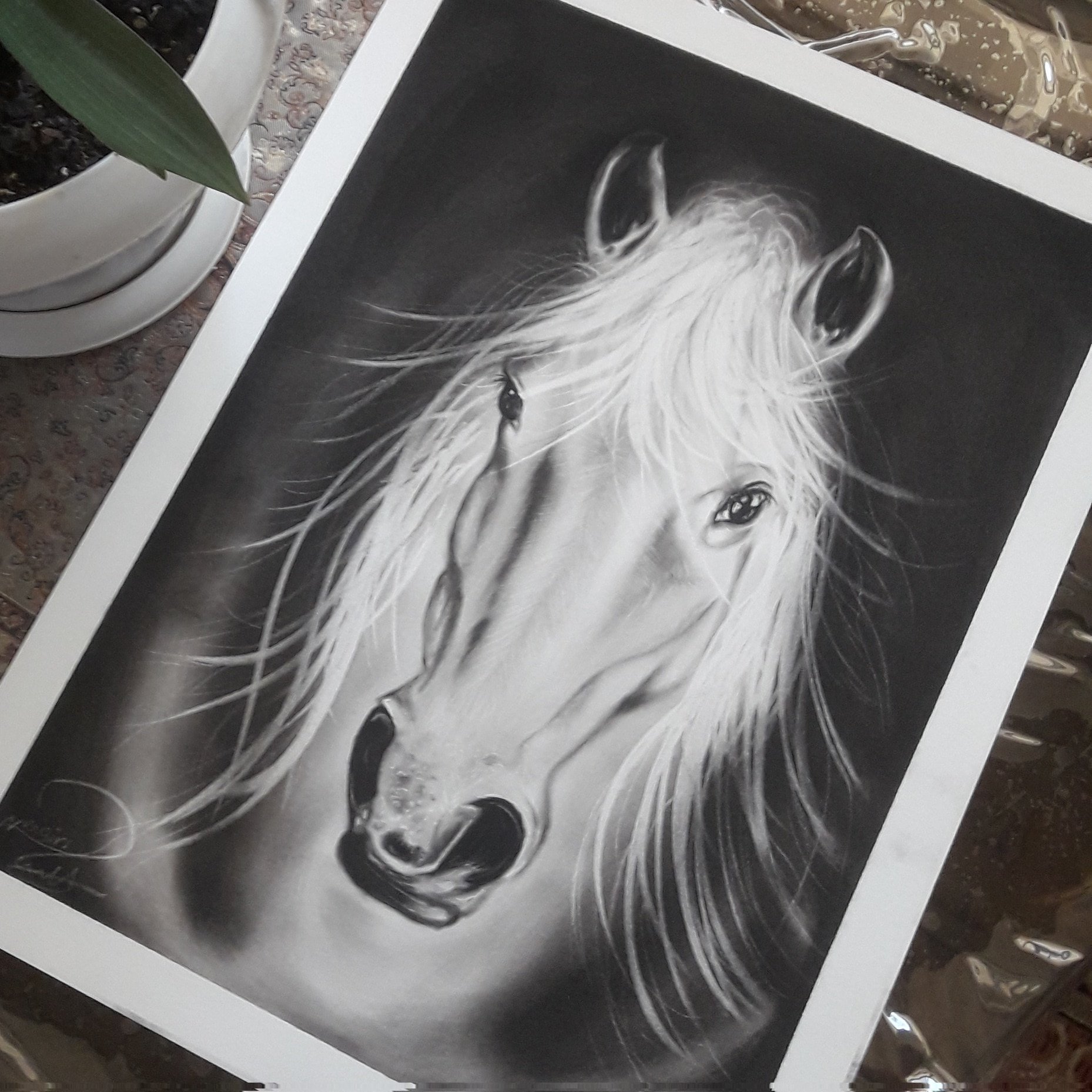 نقاشی سیاه قلم ،چهره رخ اسب ،سایز 35 در 50 ،بسیار زیبا ،دلنشین ،مناسب هدیه ،دکوراسیون منزل