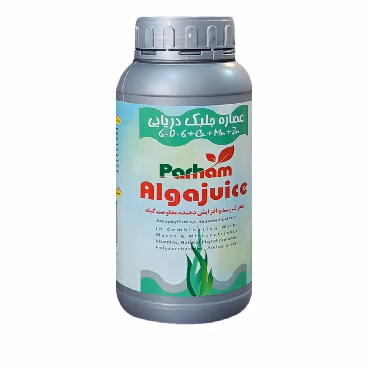 جلبک دریایی آلگاجویس پرهام