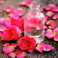 گلاب دوآتیشه رانا کاشان درجه یک