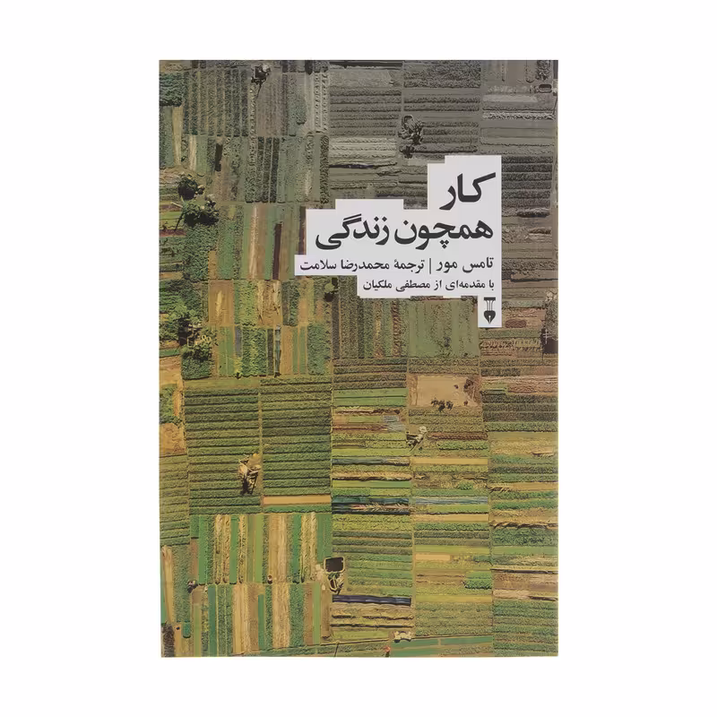  کتاب کار همچون زندگی اثر تامس مور نشر نو