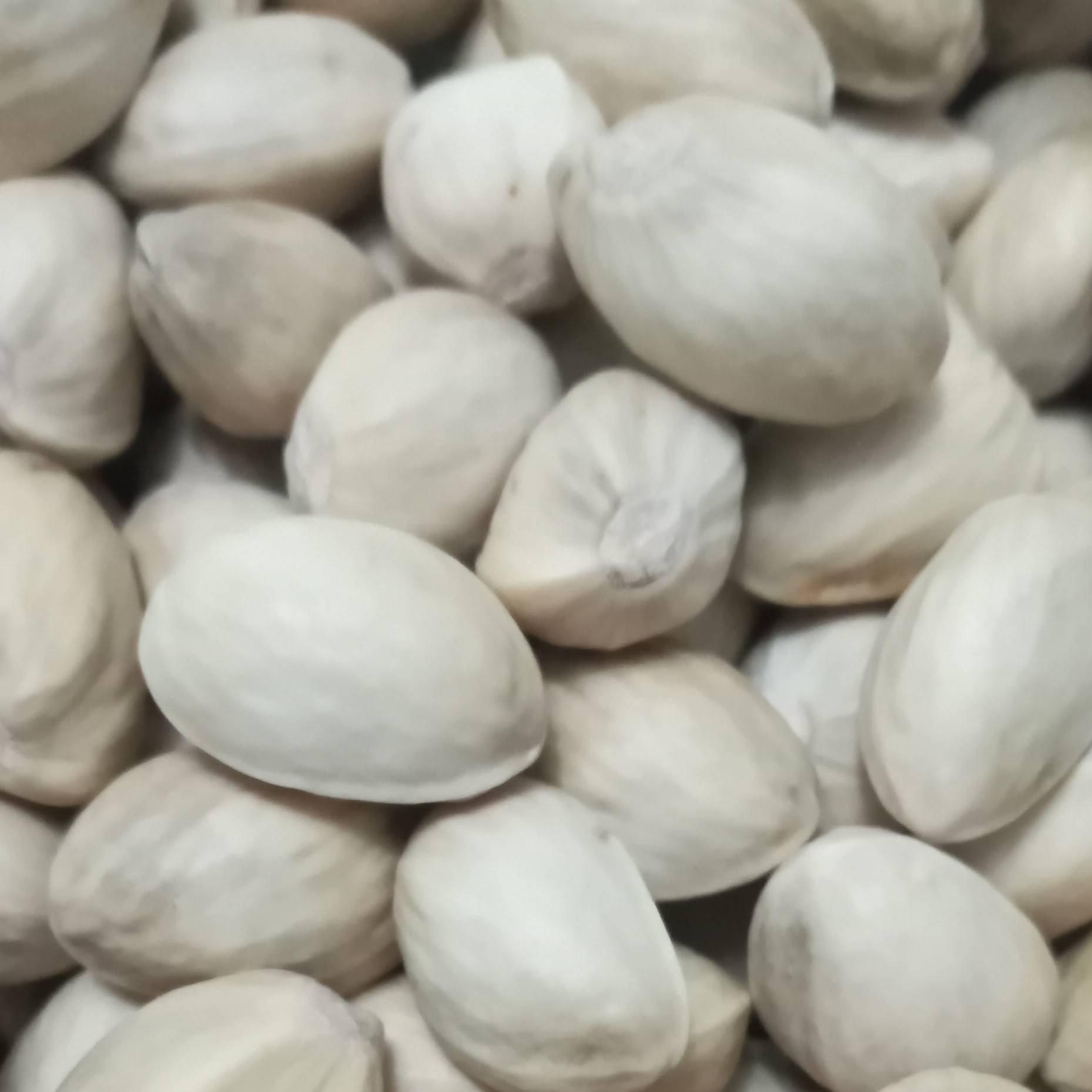پسته نا خندان