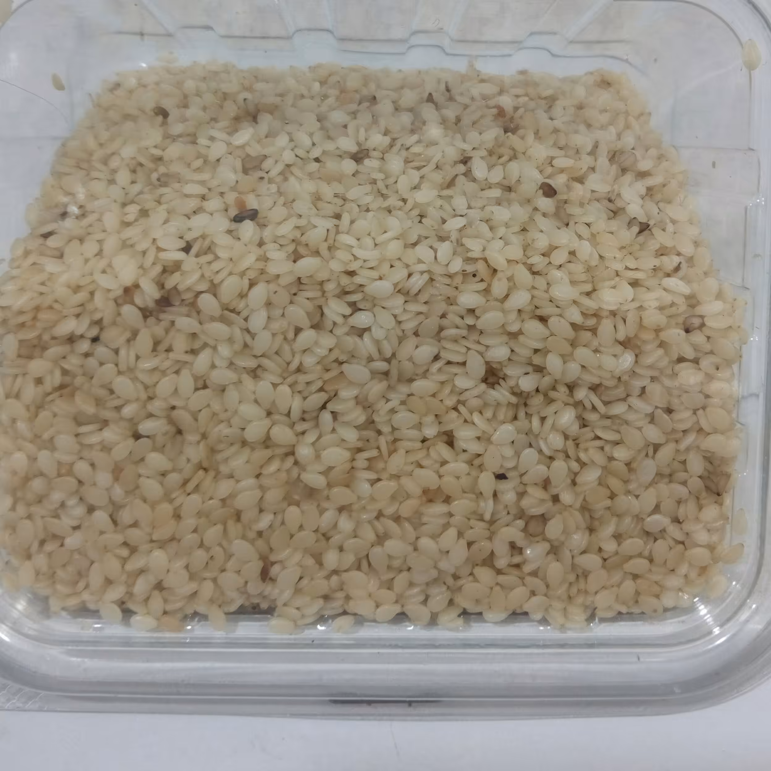 کنجد سفید ممتاز