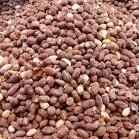 بادام زمینی سنتی(نمکی)(250گرمی)