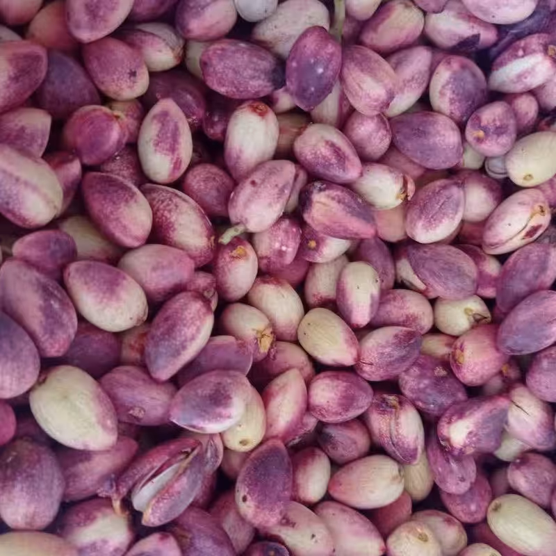 پسته تازه بسیار مرغوب از فیض آباد مه ولات بسته 5 کیلویی با ارسال رایگان