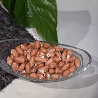 بادام زمینی