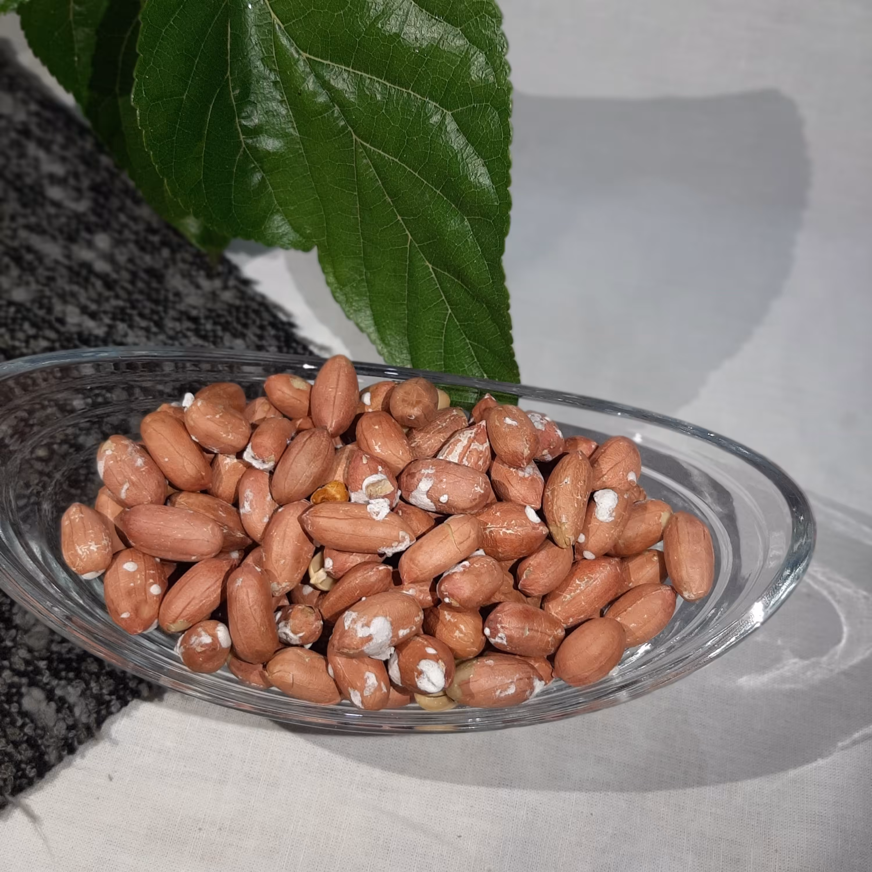 بادام زمینی