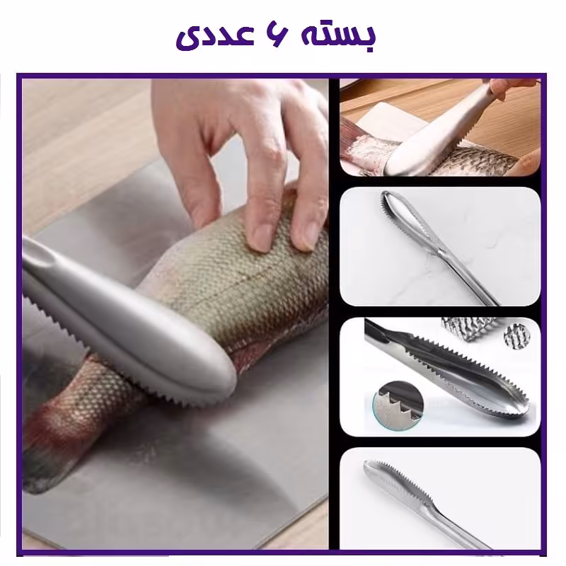 ابزار فلس و پولک گیر ماهی فلزی استیل 22 سانت بسته 6 عددی