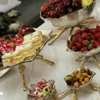   سرویس پذیرایی لوتوس  