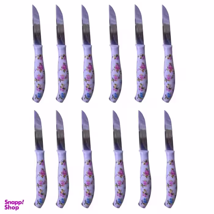 کارد میوه خوری کد 0079 بسته 12 عددی